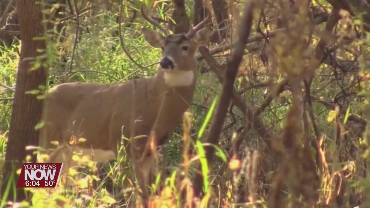 Residents urged to practice caution as an increase is expected in deer-related crashes